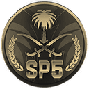 SP_5 avatar